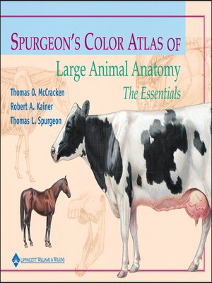 cover image of Spurgeon's Color Atlas of Large Animal Anatomy